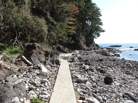 20190118hike (45)